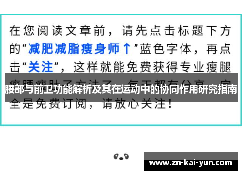 腰部与前卫功能解析及其在运动中的协同作用研究指南 腰部与前卫功能解析及其在运动中的协同作用研究指南